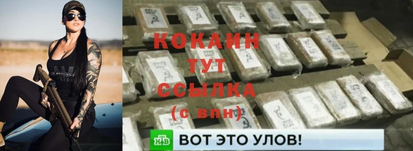 дживик Белоозёрский