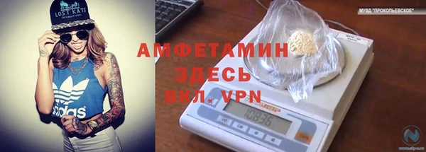 spice Белокуриха
