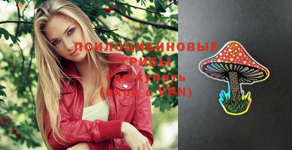дживик Белоозёрский