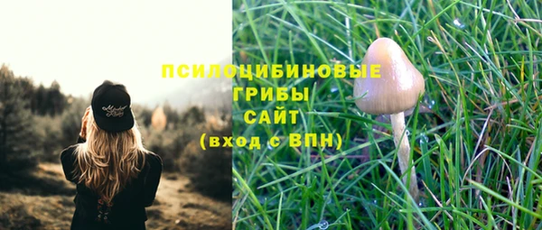 spice Белокуриха