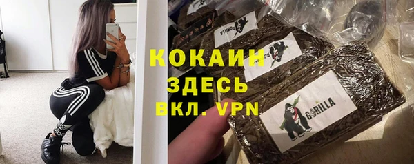 spice Белокуриха