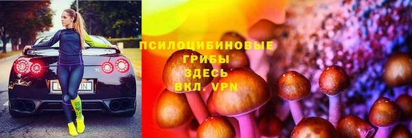 spice Белокуриха